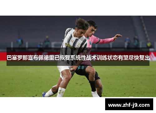 巴塞罗那宣布佩德里已恢复系统性战术训练状态有望尽快复出 巴塞罗那宣布佩德里已恢复系统性战术训练状态有望尽快复出